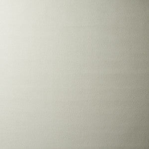 Vegan Suede Oyster 81135 by Schumacher Fabric
