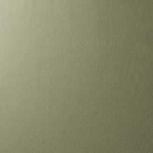 Vegan Suede Sage 81138 by Schumacher Fabric
