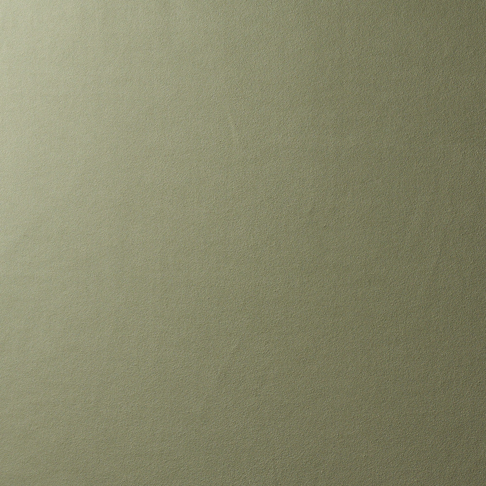 Vegan Suede Sage 81138 by Schumacher Fabric Schumacher Fabric Vegan Suede Sage 81138Fabric POLYESTER 92% </p><p>Repeat: H: HORZ. 54" (137CM), V: VERT. 144" (366CM) 54 - Fabric Carolina -