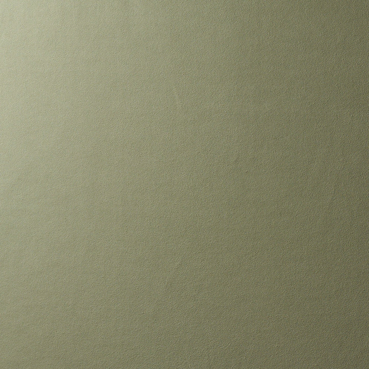 Vegan Suede Sage 81138 by Schumacher Fabric Schumacher Fabric Vegan Suede Sage 81138Fabric POLYESTER 92% </p><p>Repeat: H: HORZ. 54" (137CM), V: VERT. 144" (366CM) 54 - Fabric Carolina -