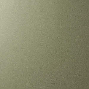 Vegan Suede Sage 81138 by Schumacher Fabric