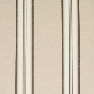 Randolph Stripe Moire Shell 81422 by Schumacher Fabric