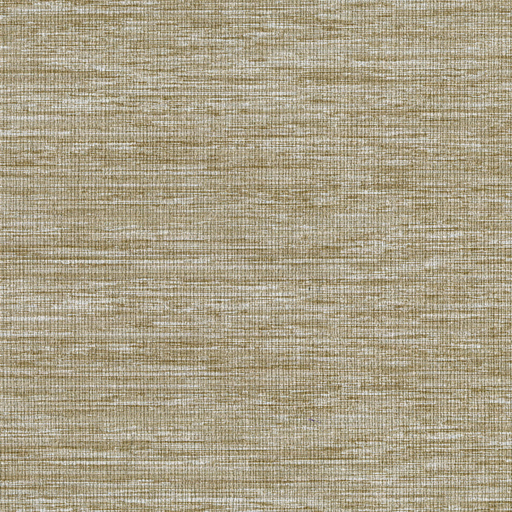 8161 17W9071 by JF Wallcovering MAYFAIR WALLCOVERINGS 100% Wallpaper United Kingdom Horizontal: and Vertical: 20.87 - Fabric Carolina -