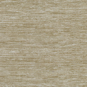 8161 17W9071 By JF Wallcovering
