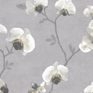 8175 51W9091 By JF Wallcovering