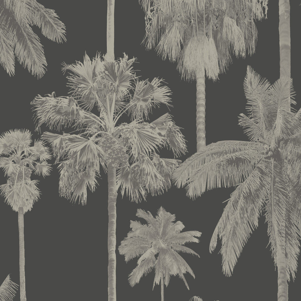 8180 39W9091 by JF Wallcovering SEYCHELLES WALLCOVERINGS 100% Wallpaper Germany Horizontal: 12.6 and Vertical: Y 20.87 - Fabric Carolina -