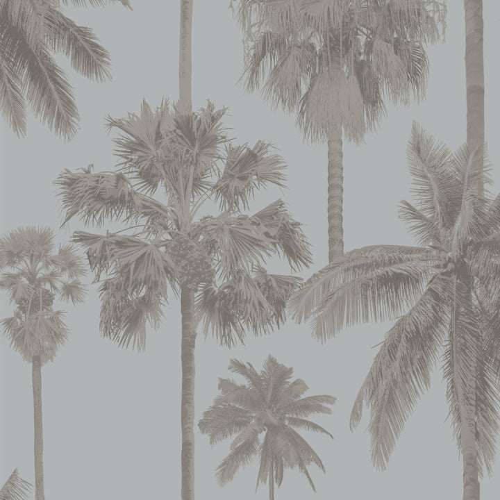 8180 62W9091 by JF Wallcovering SEYCHELLES WALLCOVERINGS 100% Wallpaper Germany Horizontal: 12.6 and Vertical: Y 20.87 - Fabric Carolina -