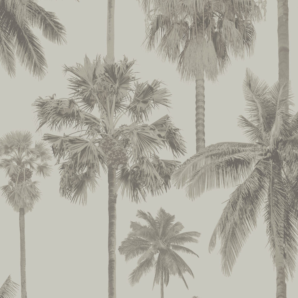 8180 92W9091 by JF Wallcovering SEYCHELLES WALLCOVERINGS 100% Wallpaper Germany Horizontal: 12.6 and Vertical: Y 20.87 - Fabric Carolina -