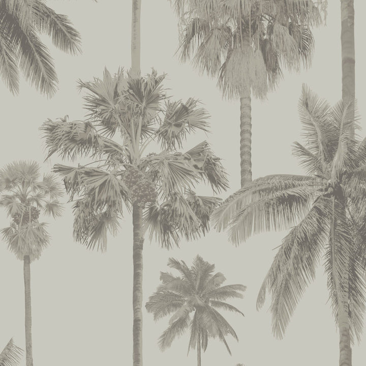 8180 92W9091 by JF Wallcovering SEYCHELLES WALLCOVERINGS 100% Wallpaper Germany Horizontal: 12.6 and Vertical: Y 20.87 - Fabric Carolina -