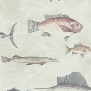 8185 52W9081 By JF Wallcovering