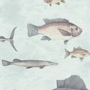 8185 62W9081 By JF Wallcovering