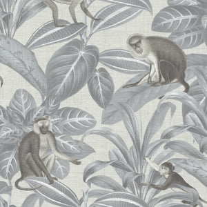 8188 52W9081 By JF Wallcovering