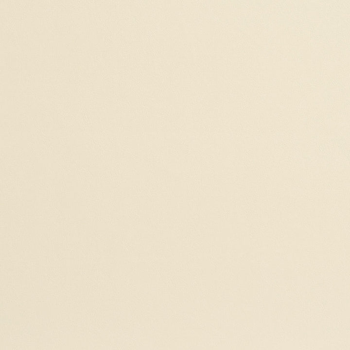 8207 Bone by Charlotte Fabric UltraHyde II Face: Vinyl/Polyurethane, Back: Polyester Microsuede, 29oz. Asia Exceeds 2,000,000 Wyzenbeek Double Rubs (Heavy Duty) </p><p>Repeat: No Repeat 54 Inches - Fabric Carolina -