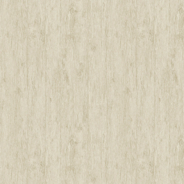 8221 73W9331 by JF Wallcovering Dining room, Living room, Bedroom, Bathroom, Kitchen 100% Wallpaper Germany Horizontal: 12.6 and Vertical: Y 20.87 - Fabric Carolina -