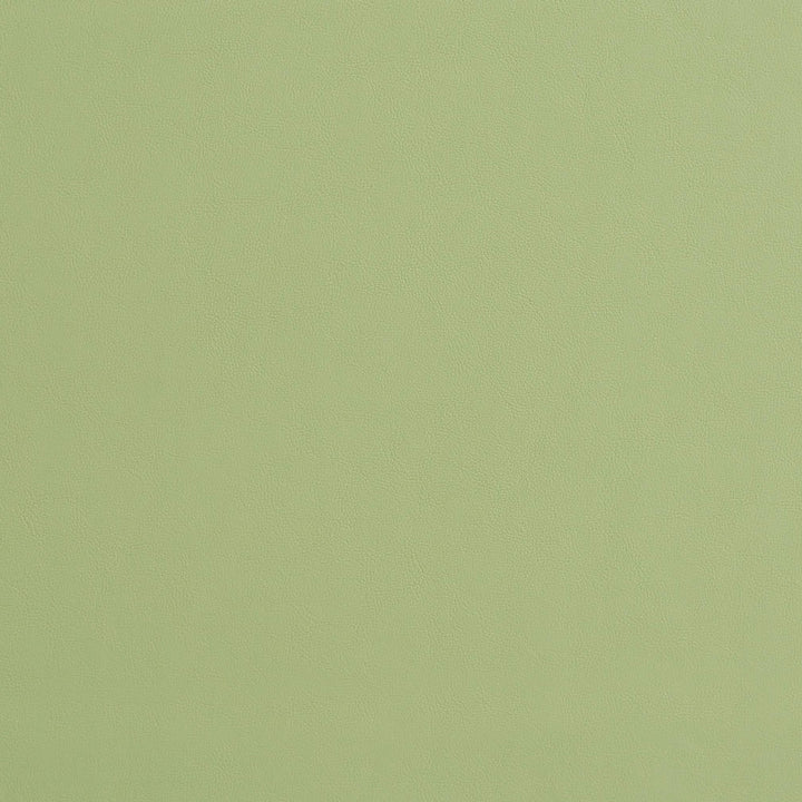 8226 Mint by Charlotte Fabric UltraHyde II Face: Vinyl/Polyurethane, Back: Polyester Microsuede, 29oz. Asia Exceeds 2,000,000 Wyzenbeek Double Rubs (Heavy Duty) </p><p>Repeat: 54 Inches - Fabric Carolina -