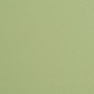 8226 Mint by Charlotte Fabric
