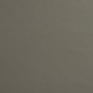 8229 Metal by Charlotte Fabric