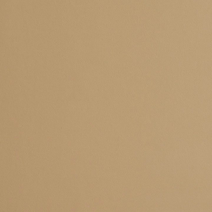 8231 Sand by Charlotte Designer Fabric UltraHyde II Face: Vinyl/Polyurethane, Back: Polyester Microsuede, 29oz. Asia Exceeds 2,000,000 Wyzenbeek Double Rubs (Heavy Duty) </p><p>Repeat: 54 Inches - Swanky Fabrics -