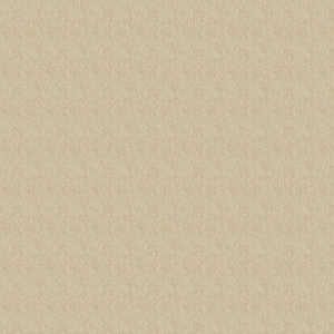 8232 18W9441 By JF Wallcovering