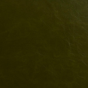 8241 Moss by Charlotte Fabric