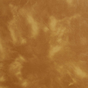 8244 Honey by Charlotte Fabric