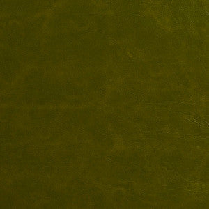 8252 Moss by Charlotte Fabric