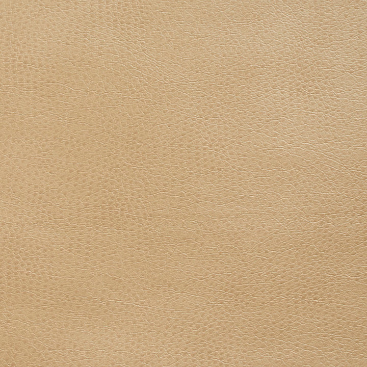 8261 Dune by Charlotte Fabric Breathables III 70% Polyester, 23% Polyurethane, 7% Leather, 26oz. Asia Exceeds 180,000 Wyzenbeek Rubs (Heavy Duty) No Repeat 54 Inches - Fabric Carolina -