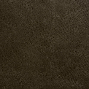 8262 Hickory by Charlotte Fabric