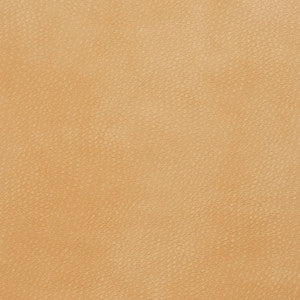 8263 Beach by Charlotte Fabric