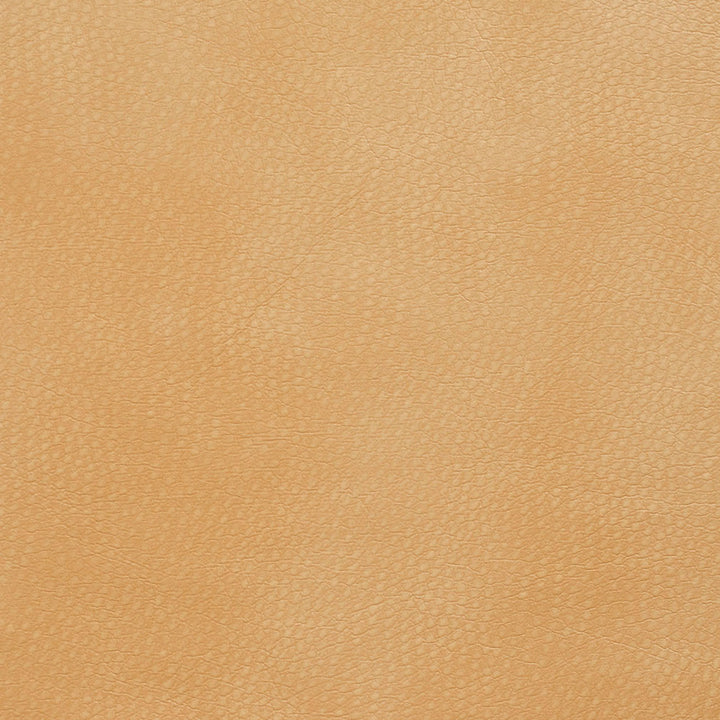8263 Beach by Charlotte Fabric Breathables III 70% Polyester, 23% Polyurethane, 7% Leather, 26oz. Asia Exceeds 180,000 Wyzenbeek Rubs (Heavy Duty) No Repeat 54 Inches - Fabric Carolina -