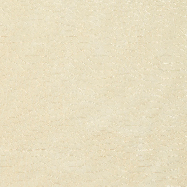 8268 Ivory by Charlotte Fabric Breathables III 70% Polyester, 23% Polyurethane, 7% Leather, 26oz. Asia Exceeds 160,000 Wyzenbeek Rubs (Heavy Duty) No Repeat 54 Inches - Fabric Carolina -
