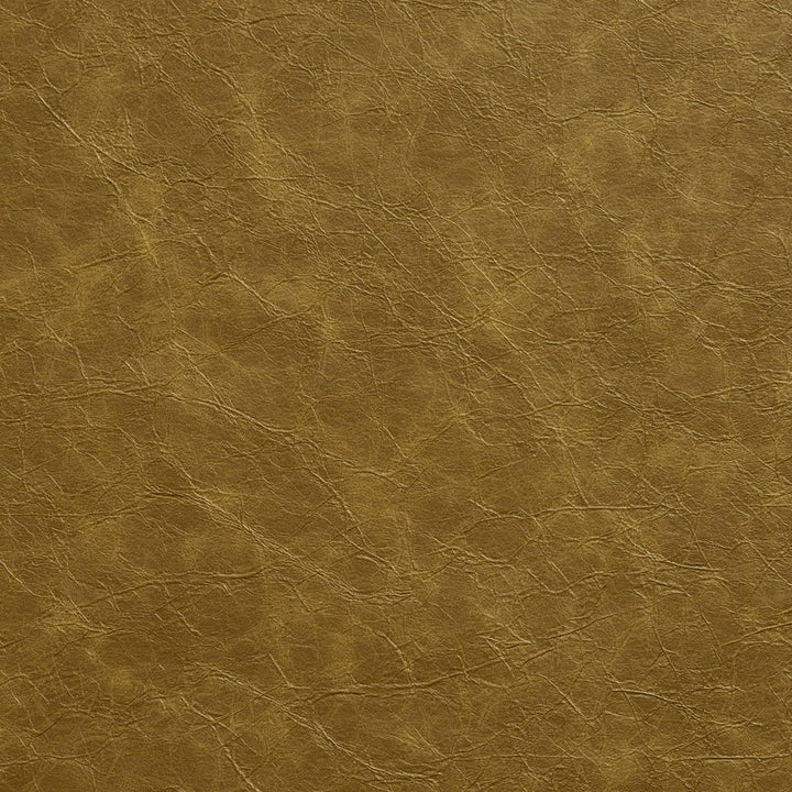 8281 Moss by Charlotte Fabric Breathables III 70% Polyester, 23% Polyurethane, 7% Leather, 26oz. Asia Exceeds 200,000 Wyzenbeek Rubs (Heavy Duty) No Repeat 54 Inches - Fabric Carolina -