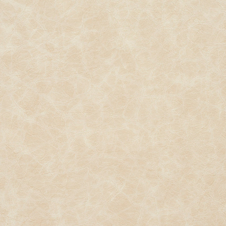 8288 Oyster by Charlotte Fabric Breathables III 70% Polyester, 23% Polyurethane, 7% Leather, 26oz. Asia Exceeds 2,000,000 Wyzenbeek Double Rubs (Heavy Duty) </p><p>Repeat: 54 Inches - Fabric Carolina -