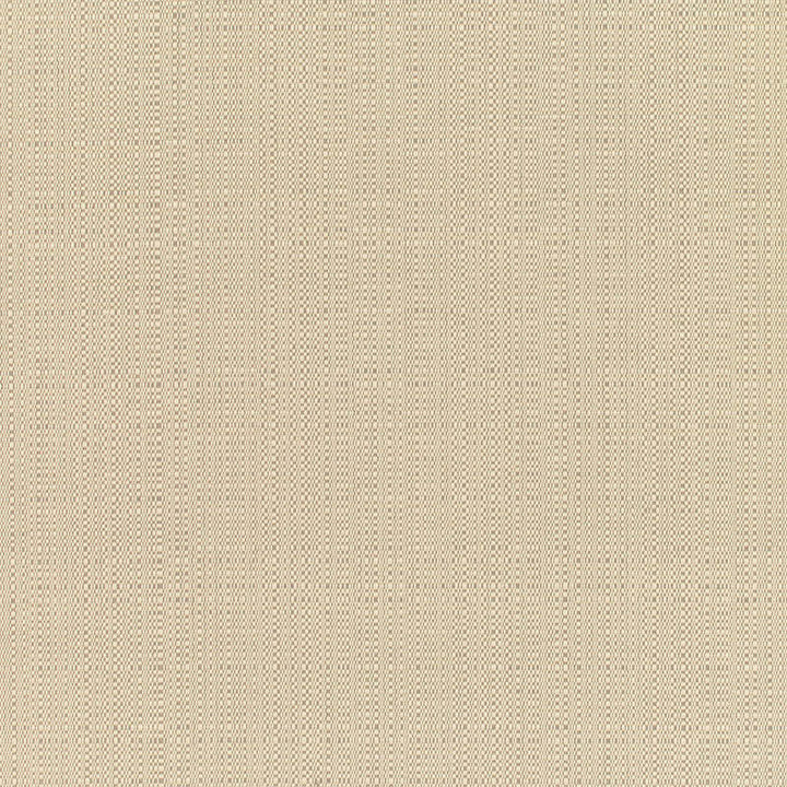 8300 77 Champagne Linen by Sunbrella Designer Fabric Cushion Furniture Drapery Fabrics > Sunbrella® Rain 100% Acrylic USA or Imported n/a 54" - Swanky Fabrics -