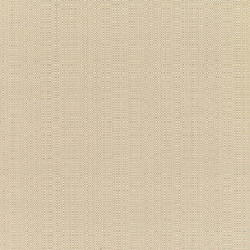 8300 77 Champagne Linen by Sunbrella Fabric Cushion Furniture Drapery Fabrics > Sunbrella® Rain 100% Acrylic USA or Imported n/a 54" - Fabric Carolina -