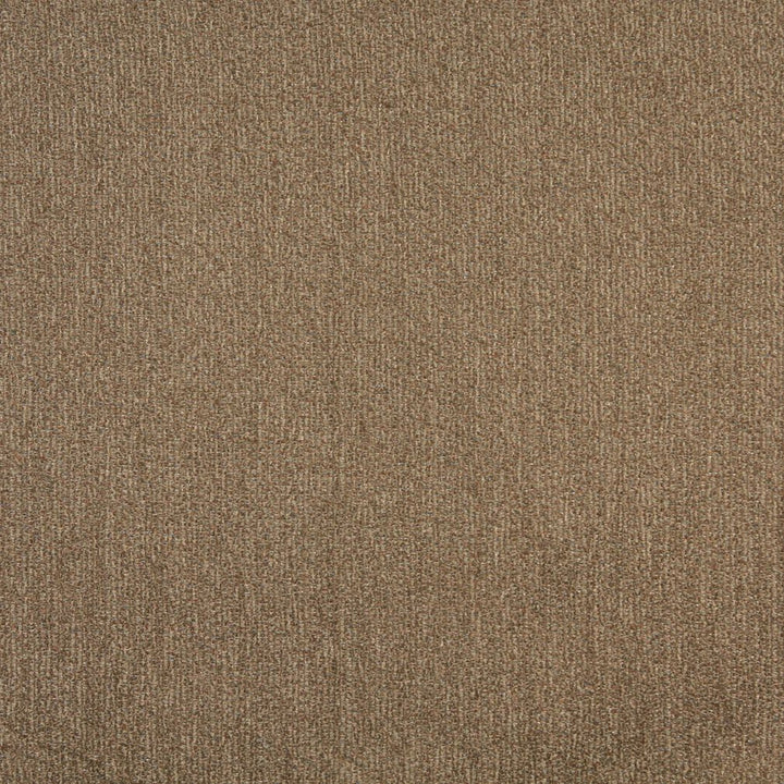 8336 Desert by Charlotte Fabric Ring Book Page #159 82% Olefin, 18% Polyester Made In USA Exceeds 100,000 Wyzenbeek Rubs (Heavy Duty) No Repeat 54 Inches - Fabric Carolina -