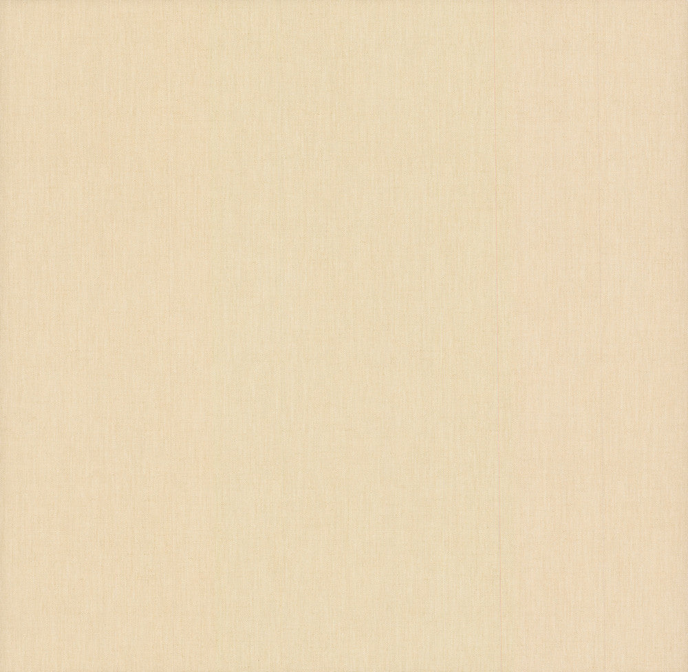 Garment Beige Wallpaper by York Wallcoverings Urban Oasis Covers about 79.2 square feet 27.56-in by 34.5-ft long roll Unpasted 0 - Fabric Carolina -