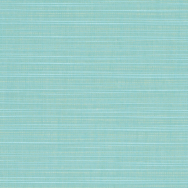 8067 77 Rain Dupione Celeste by Sunbrella Fabric Sunbrella Rain 100% Sunbrella® Acrylic USA or Imported 5-Year Horizontal: and Vertical: 60 yd. 54 in. - Fabric Carolina -