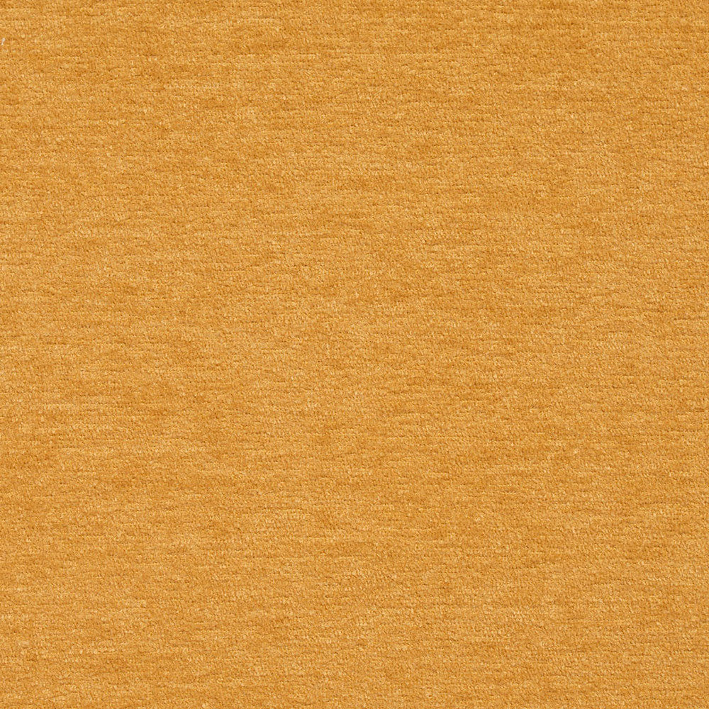 8419 Cornsilk by Charlotte Fabric Crypton Home 100% Woven Polyester Asia Exceeds 100,000 Wyzenbeek Rubs (Heavy Duty) No Repeat 54 Inches - Fabric Carolina -