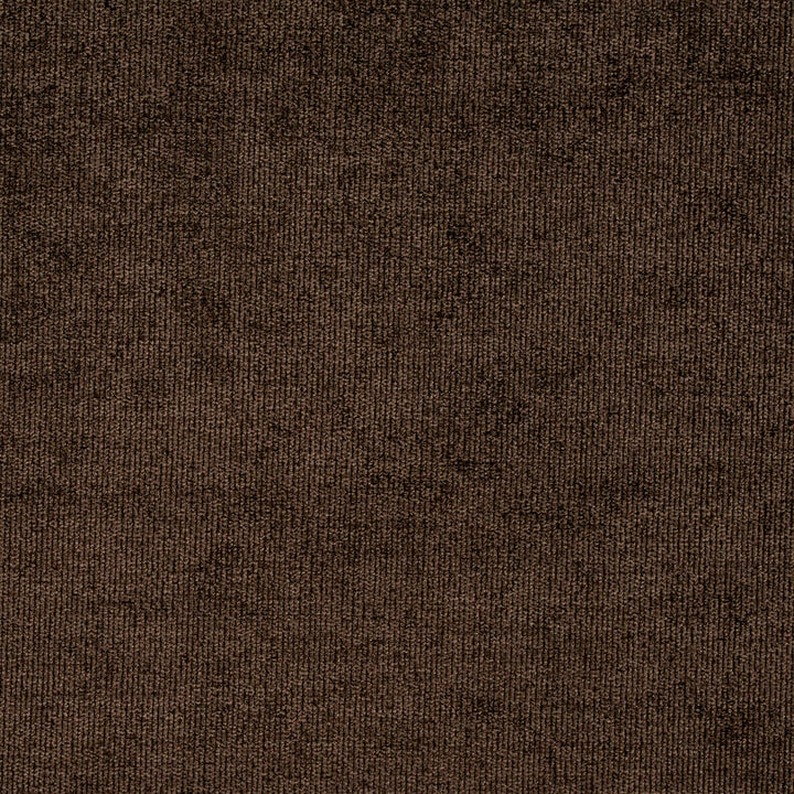 8435 Umber by Charlotte Fabric Crypton Home 100% Woven Polyester Asia Exceeds 100,000 Wyzenbeek Rubs (Heavy Duty) No Repeat 54 Inches - Fabric Carolina -