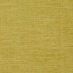 8438 Citrus by Charlotte Fabric