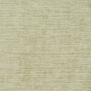 8454 Spearmint by Charlotte Fabric