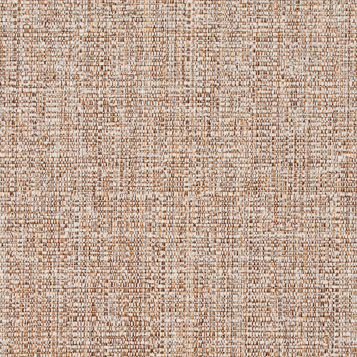 8459 Sandstone by Charlotte Fabric Crypton Home 100% Woven Polyester Asia Exceeds 100,000 Wyzenbeek Rubs (Heavy Duty) No Repeat 54 Inches - Fabric Carolina -
