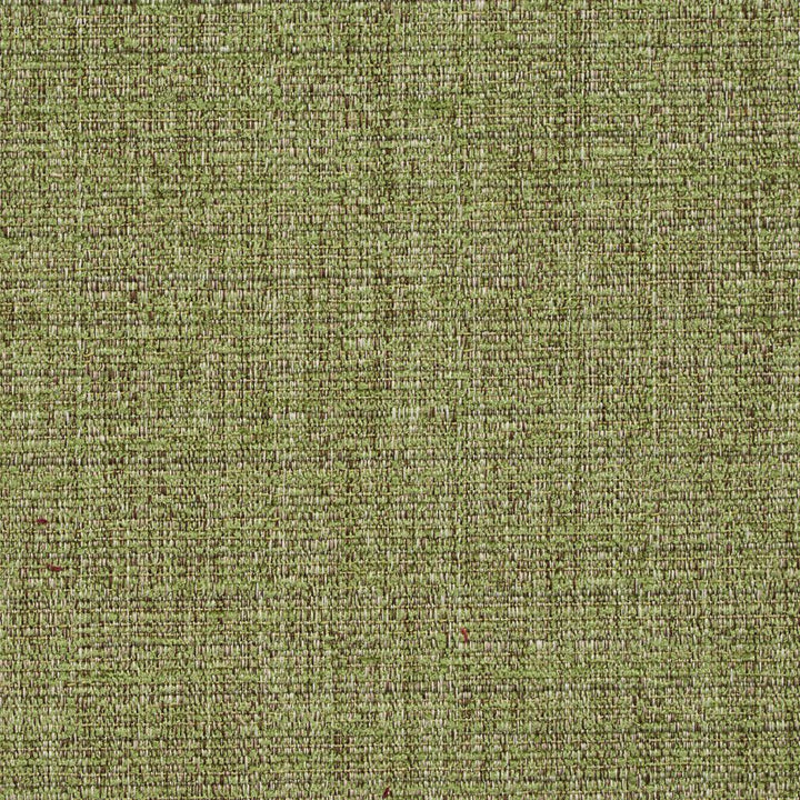 8461 Meadow by Charlotte Fabric Crypton Home 100% Woven Polyester Asia Exceeds 100,000 Wyzenbeek Rubs (Heavy Duty) No Repeat 54 Inches - Fabric Carolina -