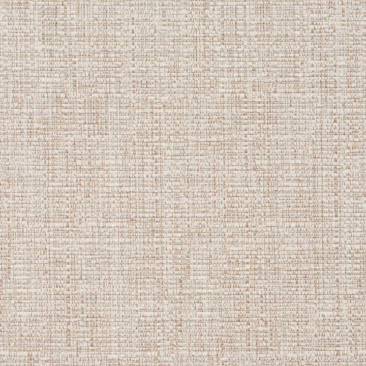 8464 Alabaster by Charlotte Designer Fabric Crypton Home 100% Woven Polyester Asia Exceeds 100,000 Wyzenbeek Rubs (Heavy Duty) No Repeat 54 Inches - Swanky Fabrics -