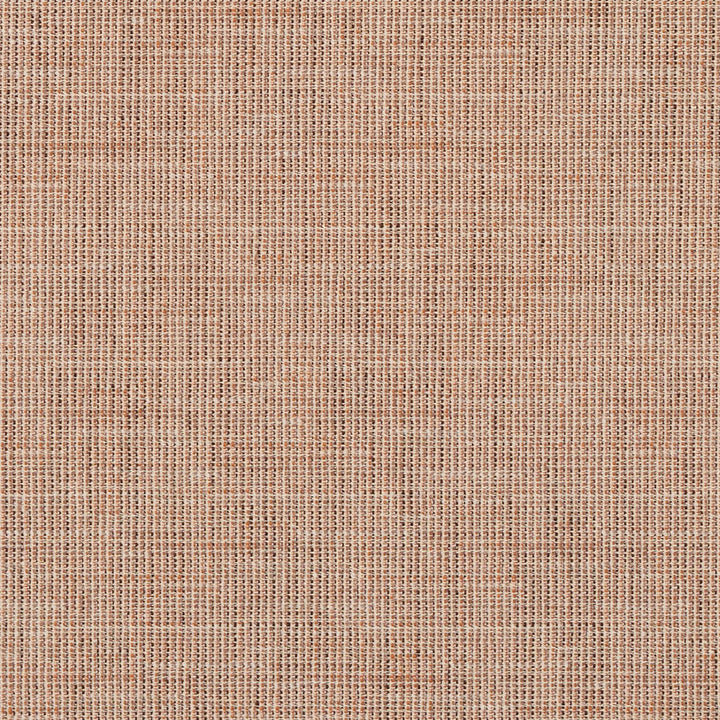 8511 Camel by Charlotte Fabric Contemporary Wovens 100% Woven Polyester Asia Exceeds 100,000 Wyzenbeek Rubs (Heavy Duty) No Repeat 54 Inches - Fabric Carolina -