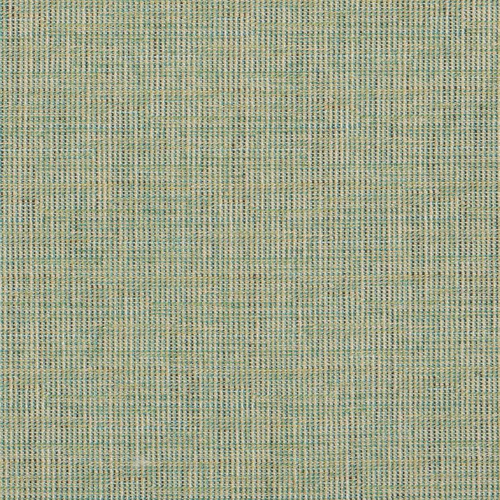 8514 Spring by Charlotte Fabric Contemporary Wovens 100% Woven Polyester Asia Exceeds 100,000 Wyzenbeek Rubs (Heavy Duty) No Repeat 54 Inches - Fabric Carolina -