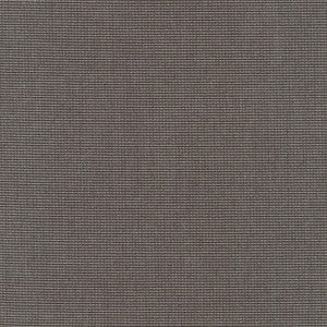 5489 77 Rain Canvas Coal by Sunbrella Fabric