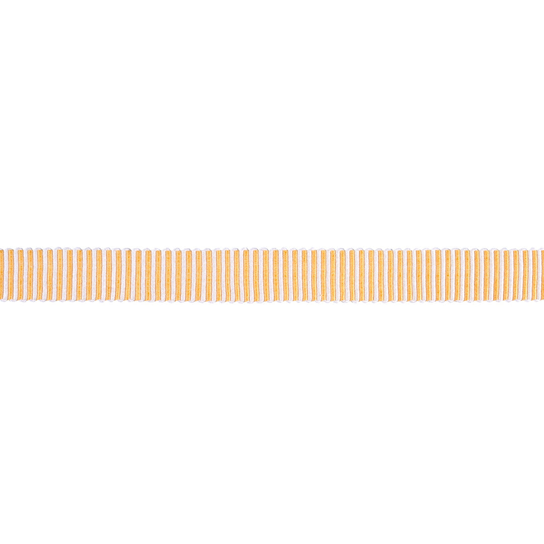 Knox Tape Narrow - Gold by Schumacher Trim