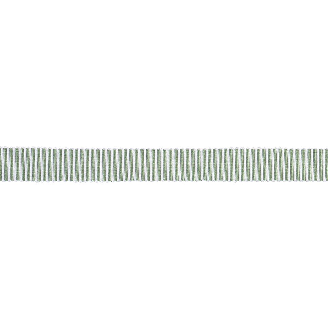 Knox Tape Narrow - Green by Schumacher Trim